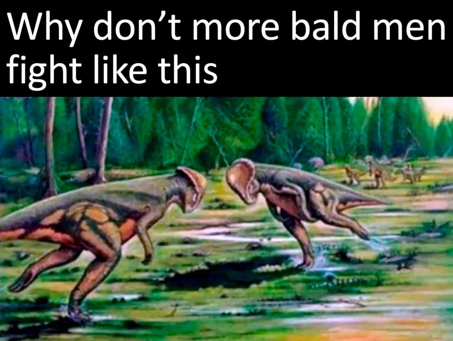 Untitled meme