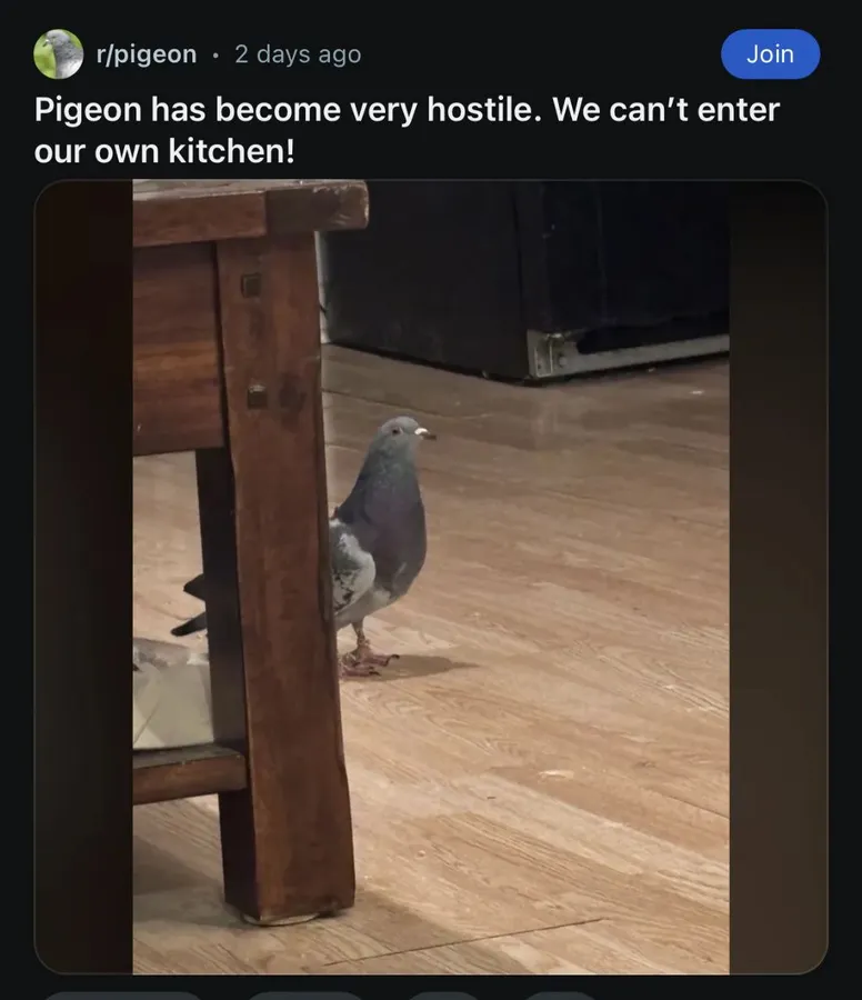 Untitled meme