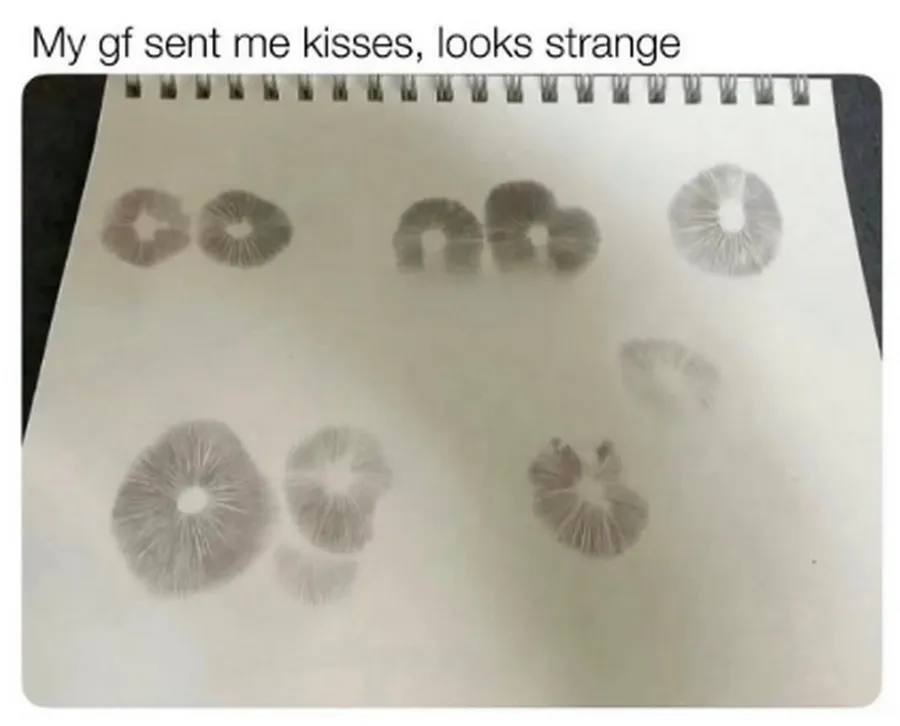 Untitled meme