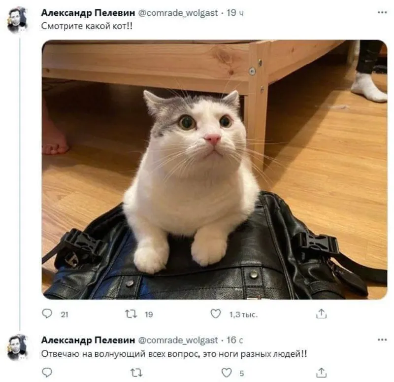 Untitled meme