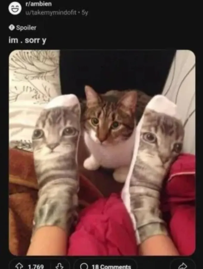 Untitled meme