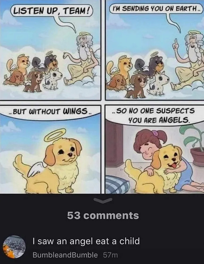 Untitled meme