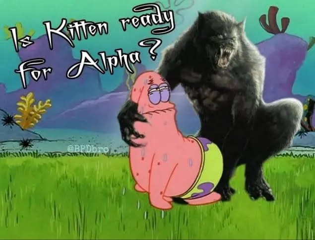 Untitled meme