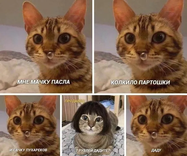Untitled meme