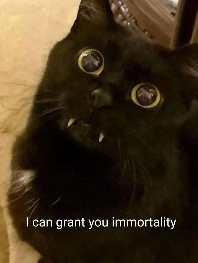Untitled meme