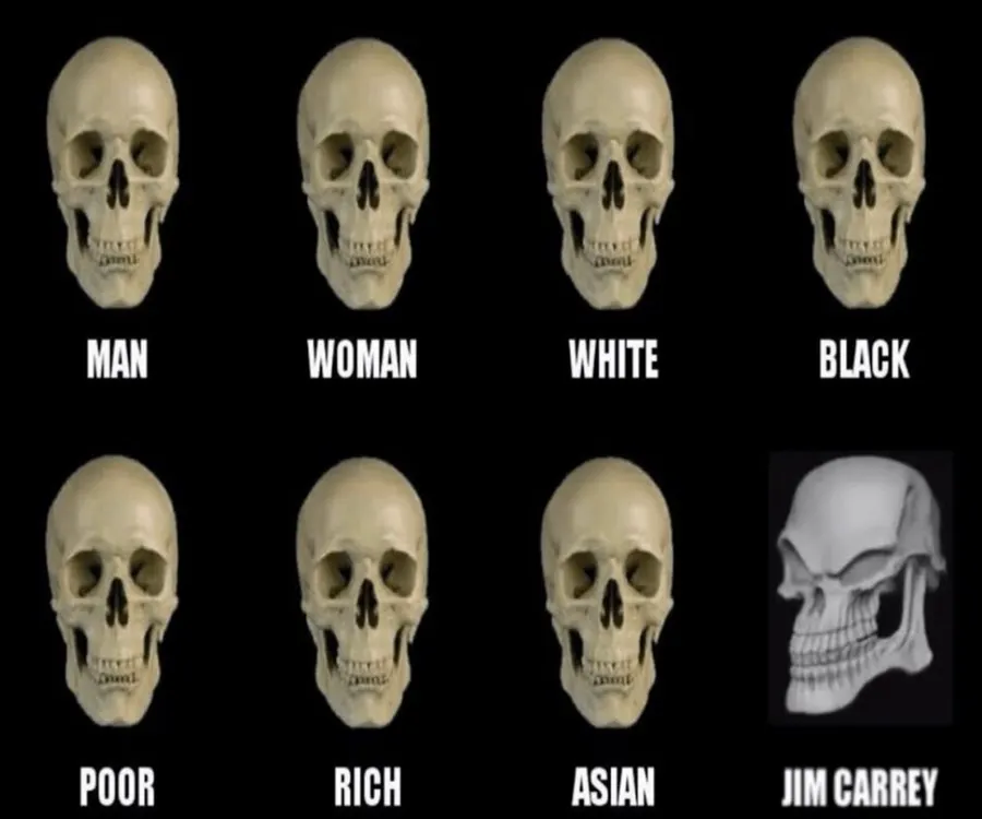Untitled meme