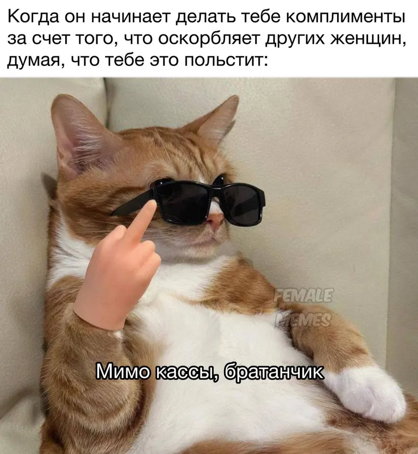 Untitled meme