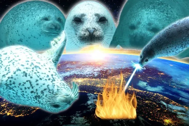 Untitled meme