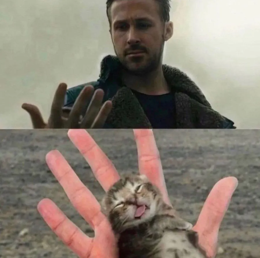 Untitled meme