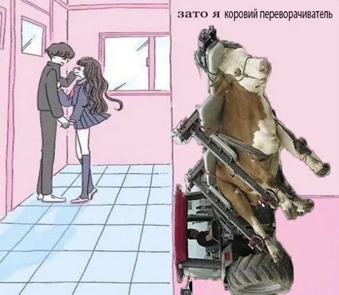 Untitled meme