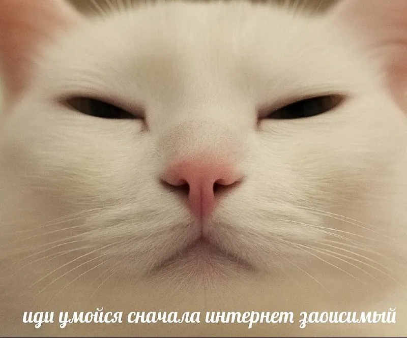 Untitled meme
