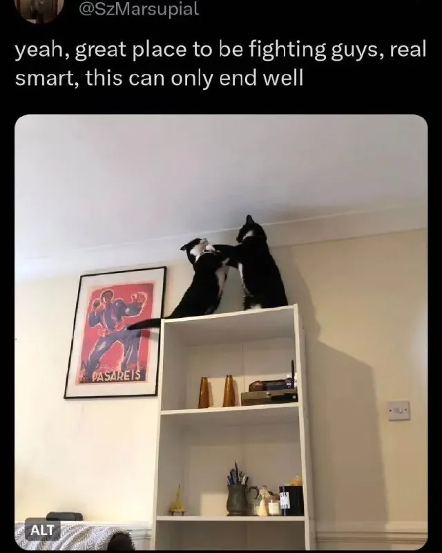 Untitled meme
