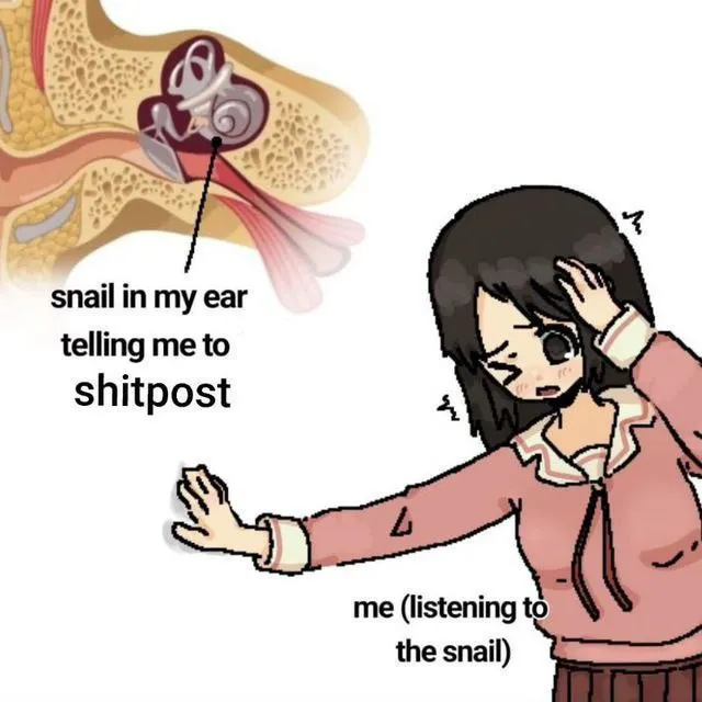 Untitled meme