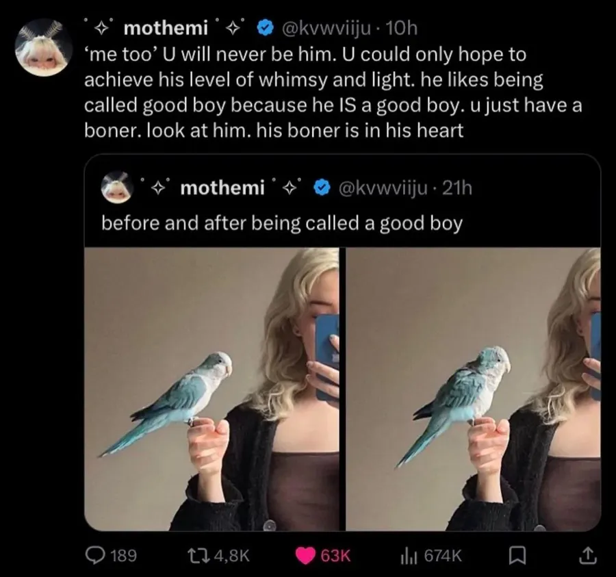 Untitled meme