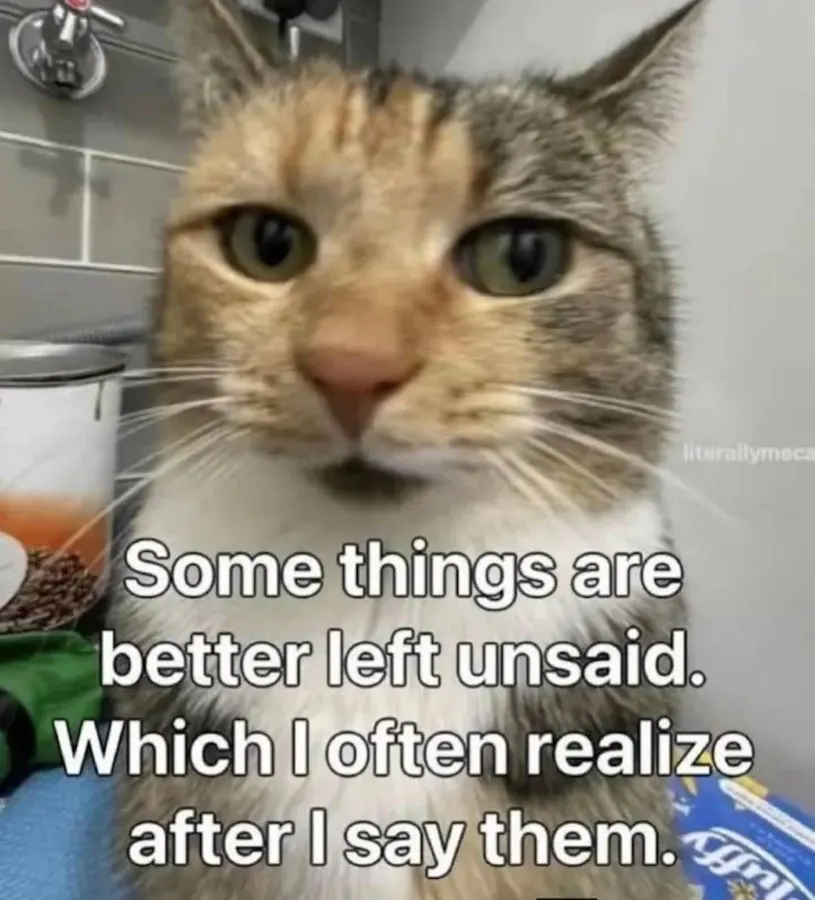 Untitled meme
