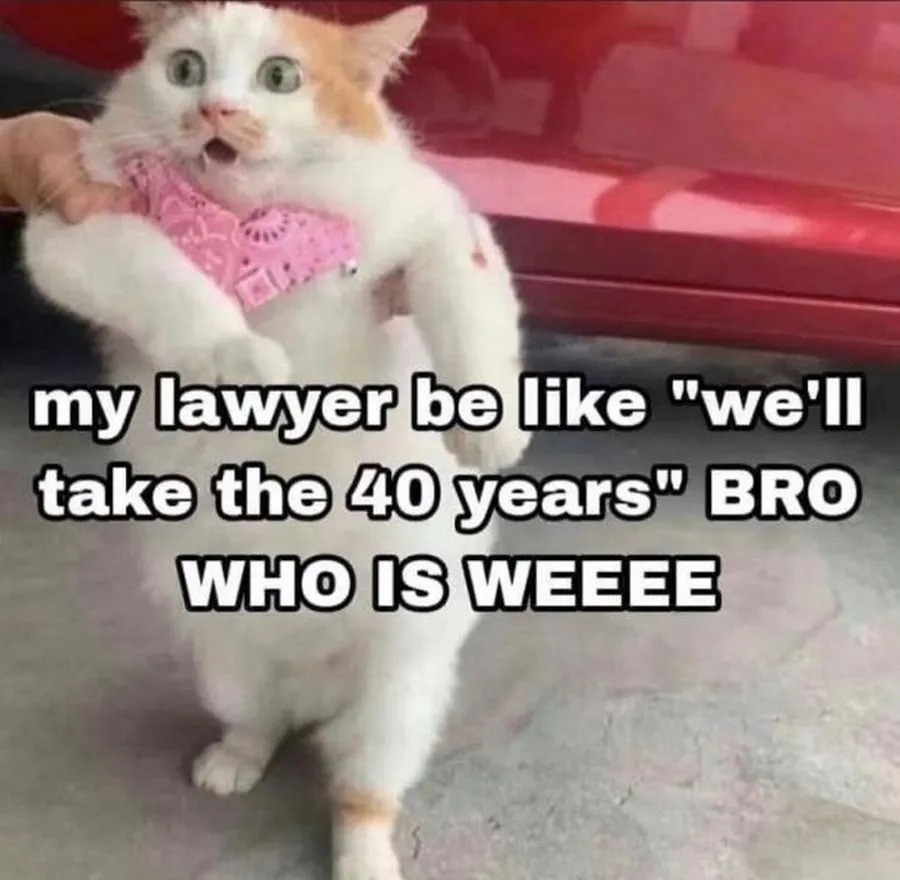 Untitled meme