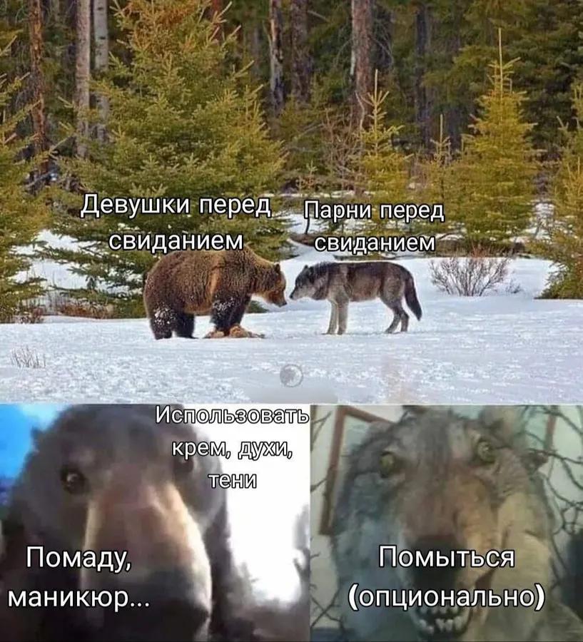 Untitled meme