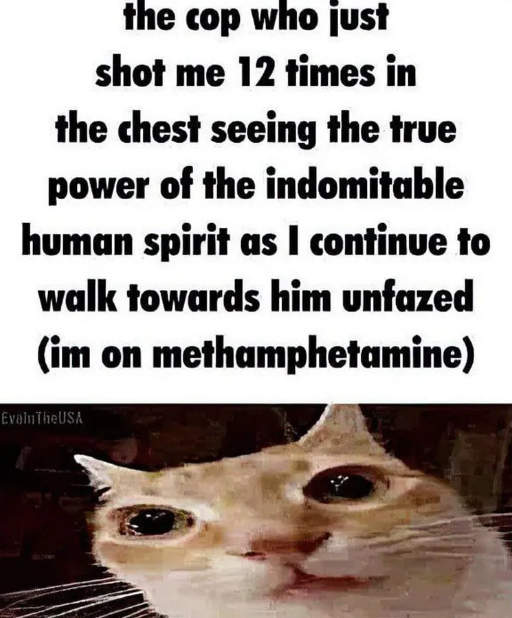 Untitled meme