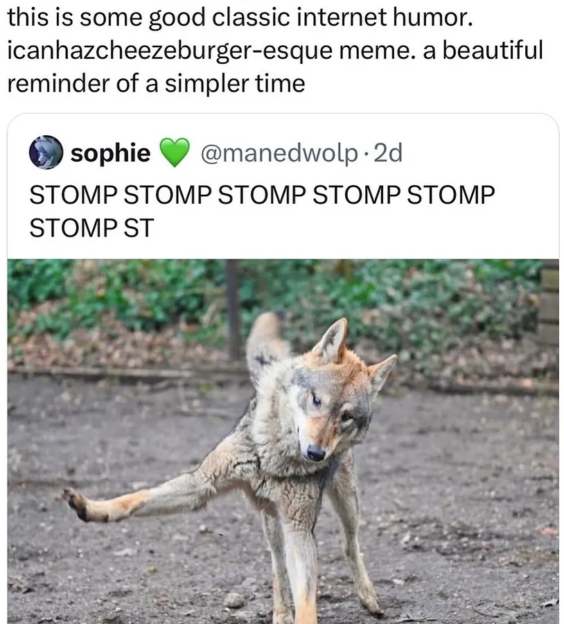 Untitled meme