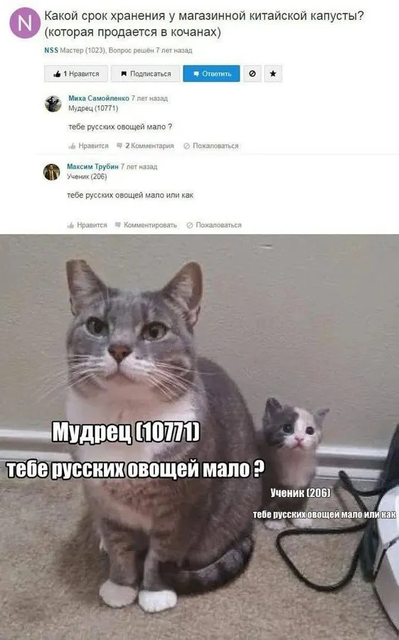 Untitled meme