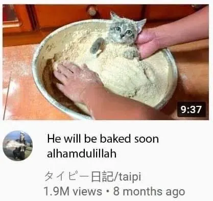 Untitled meme