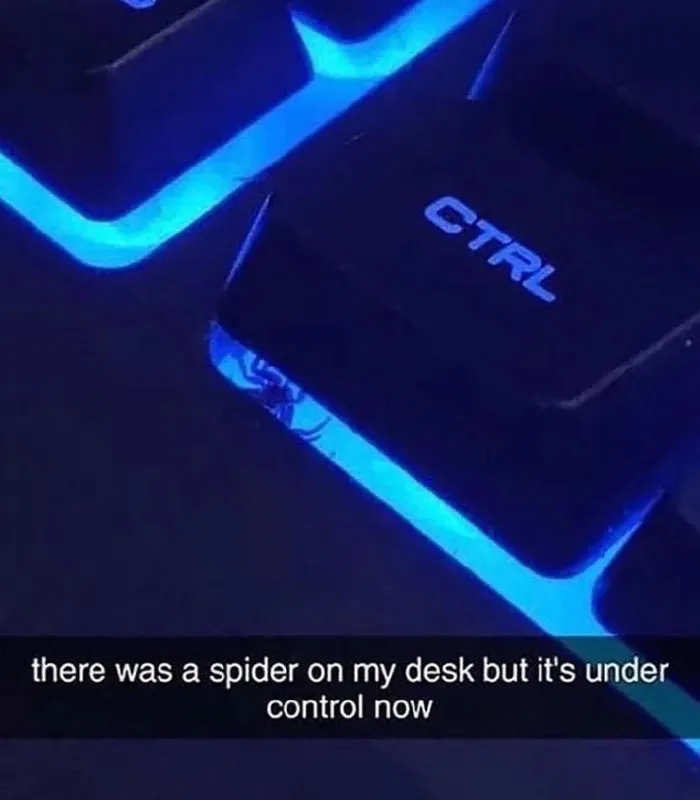 Untitled meme