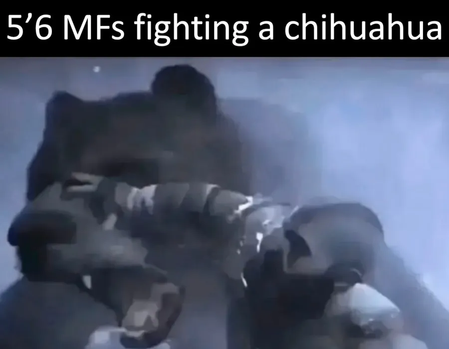 Untitled meme