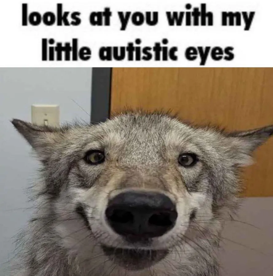 Untitled meme