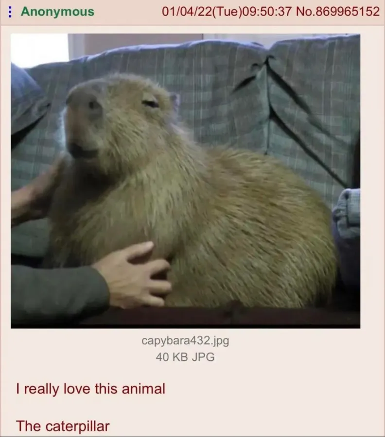 Untitled meme