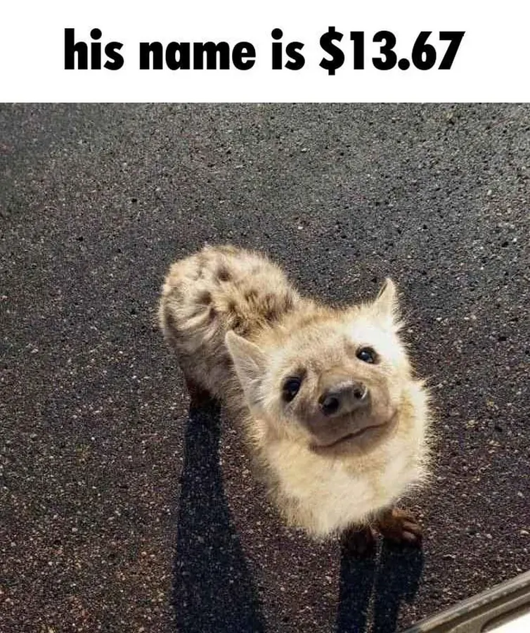 Untitled meme