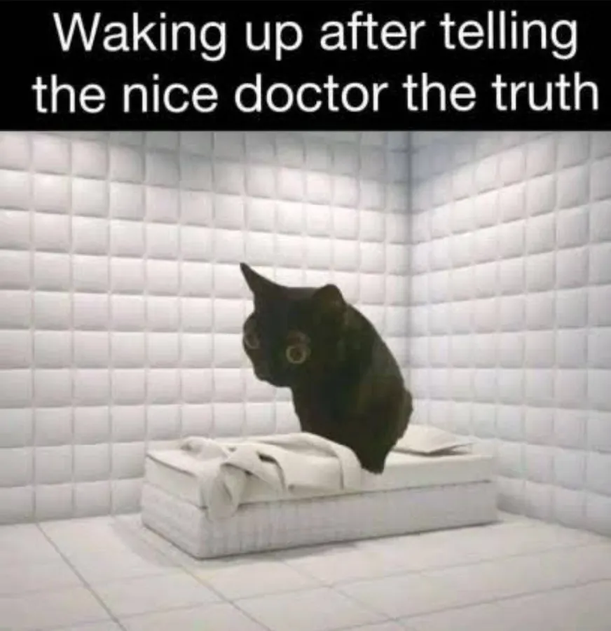 Untitled meme