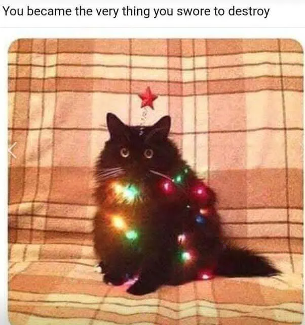 Untitled meme