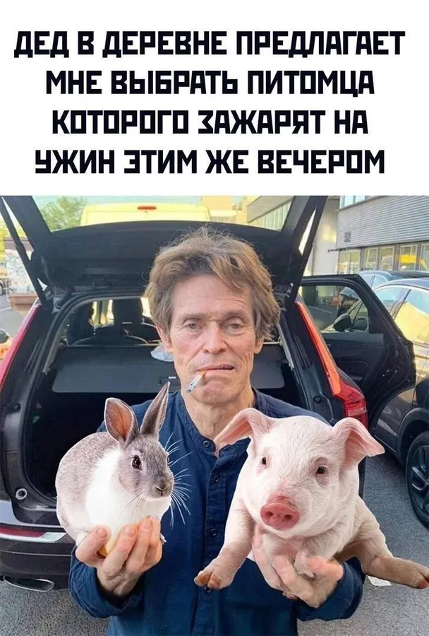 Untitled meme