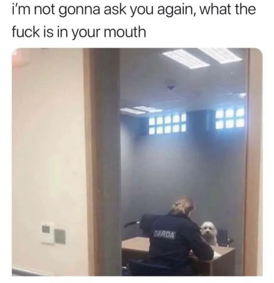 Untitled meme