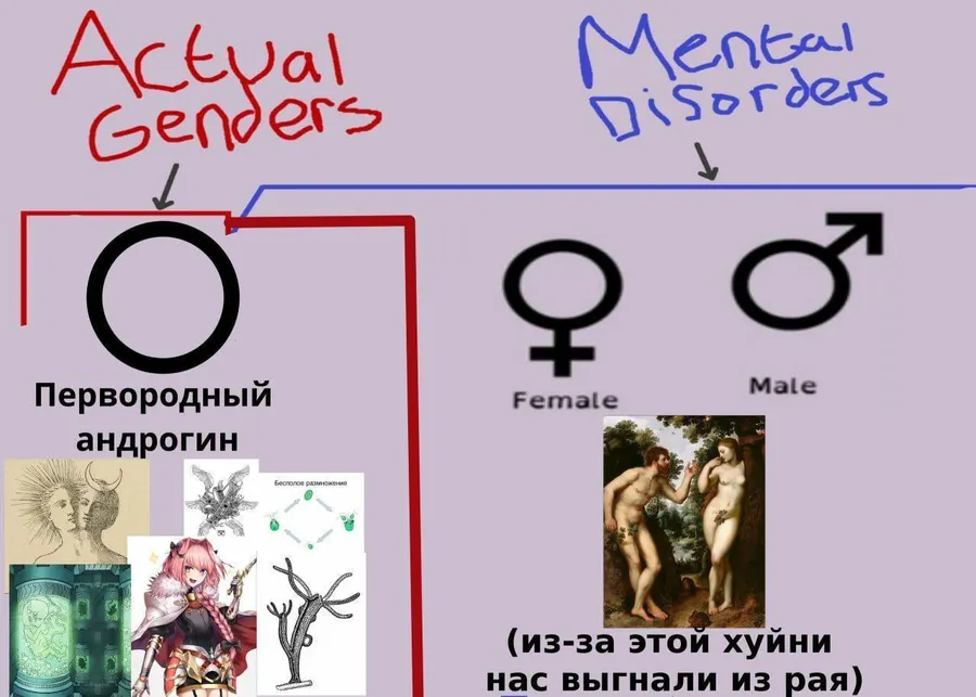 Untitled meme