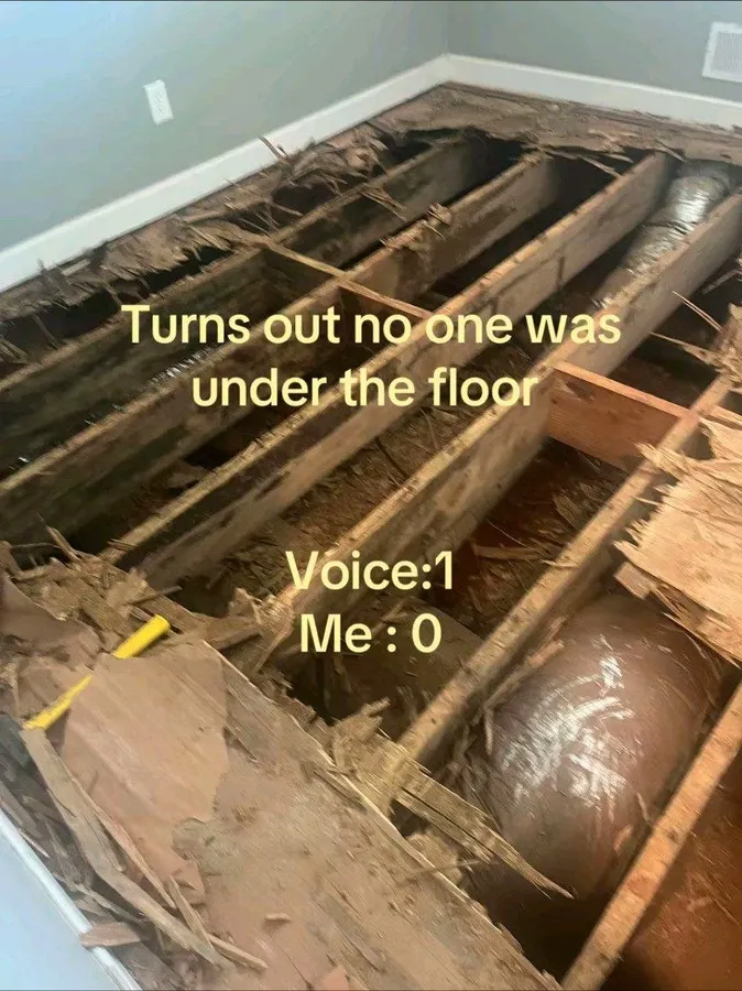 Untitled meme