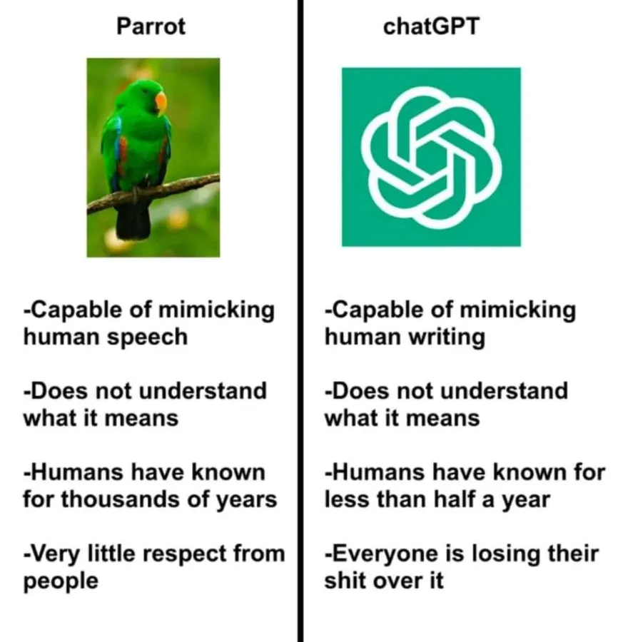 Untitled meme