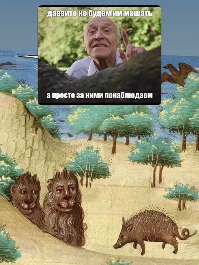 Untitled meme