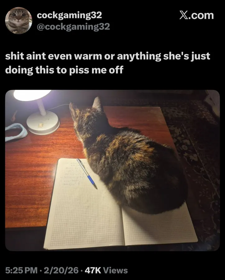 Untitled meme