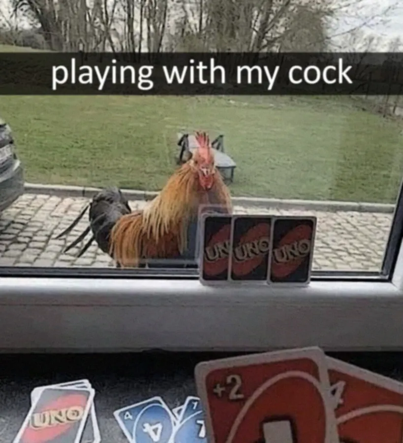 Untitled meme