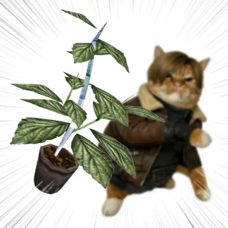 Untitled meme