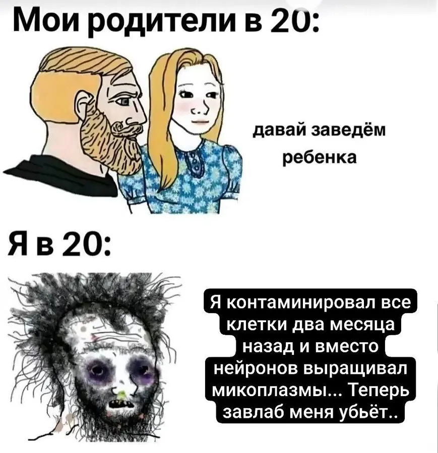 Untitled meme