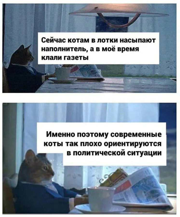 Untitled meme