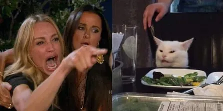 Untitled meme