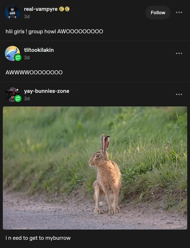 Untitled meme