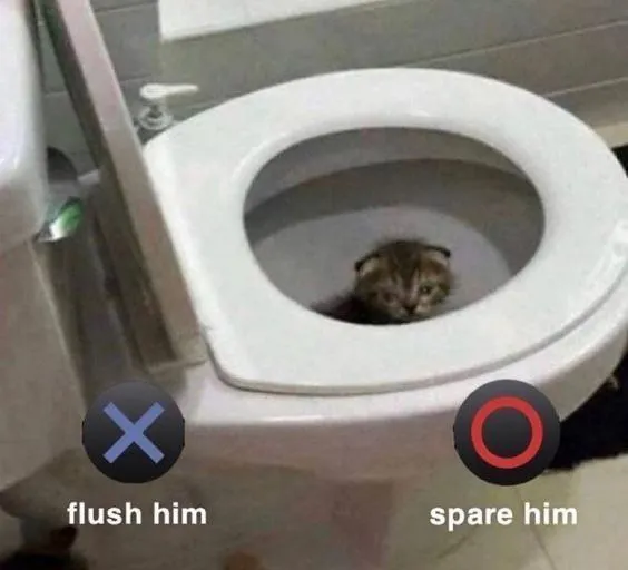 Untitled meme