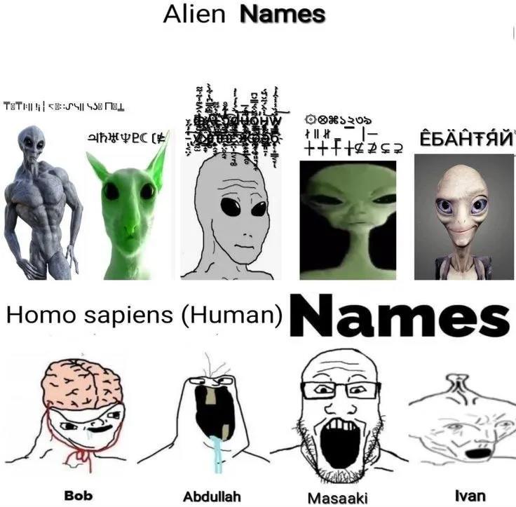 Untitled meme