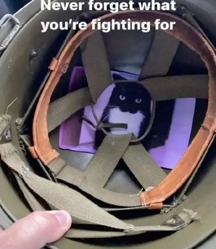 Untitled meme