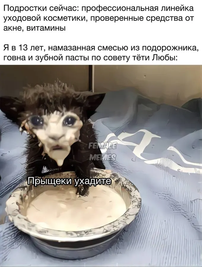 Untitled meme