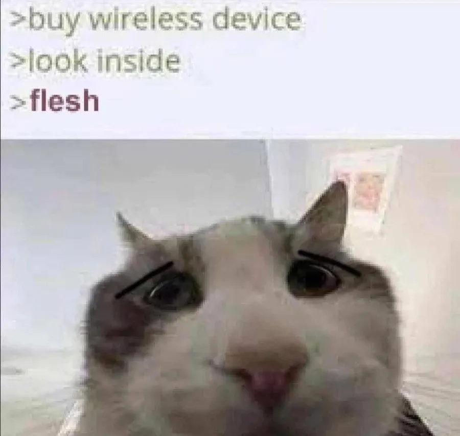 Untitled meme